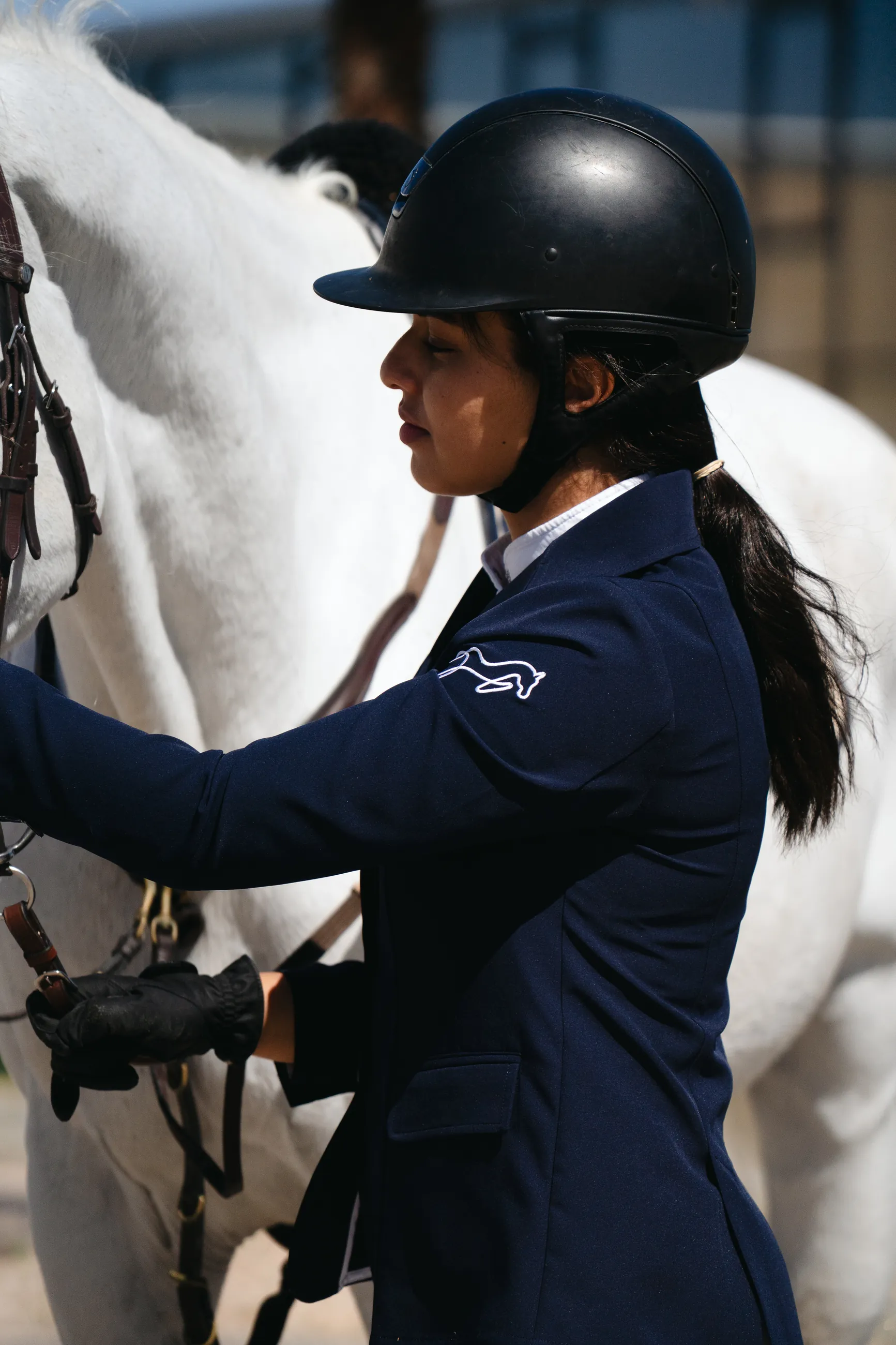Cheval gris harnache, tapis de selle Nova Cavalia