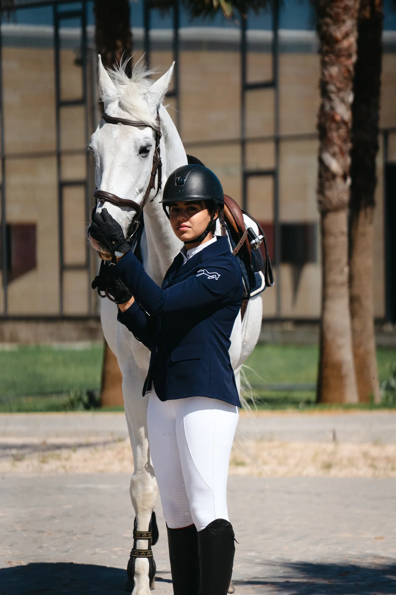 Cheval gris et cavaliere, terrain de concours