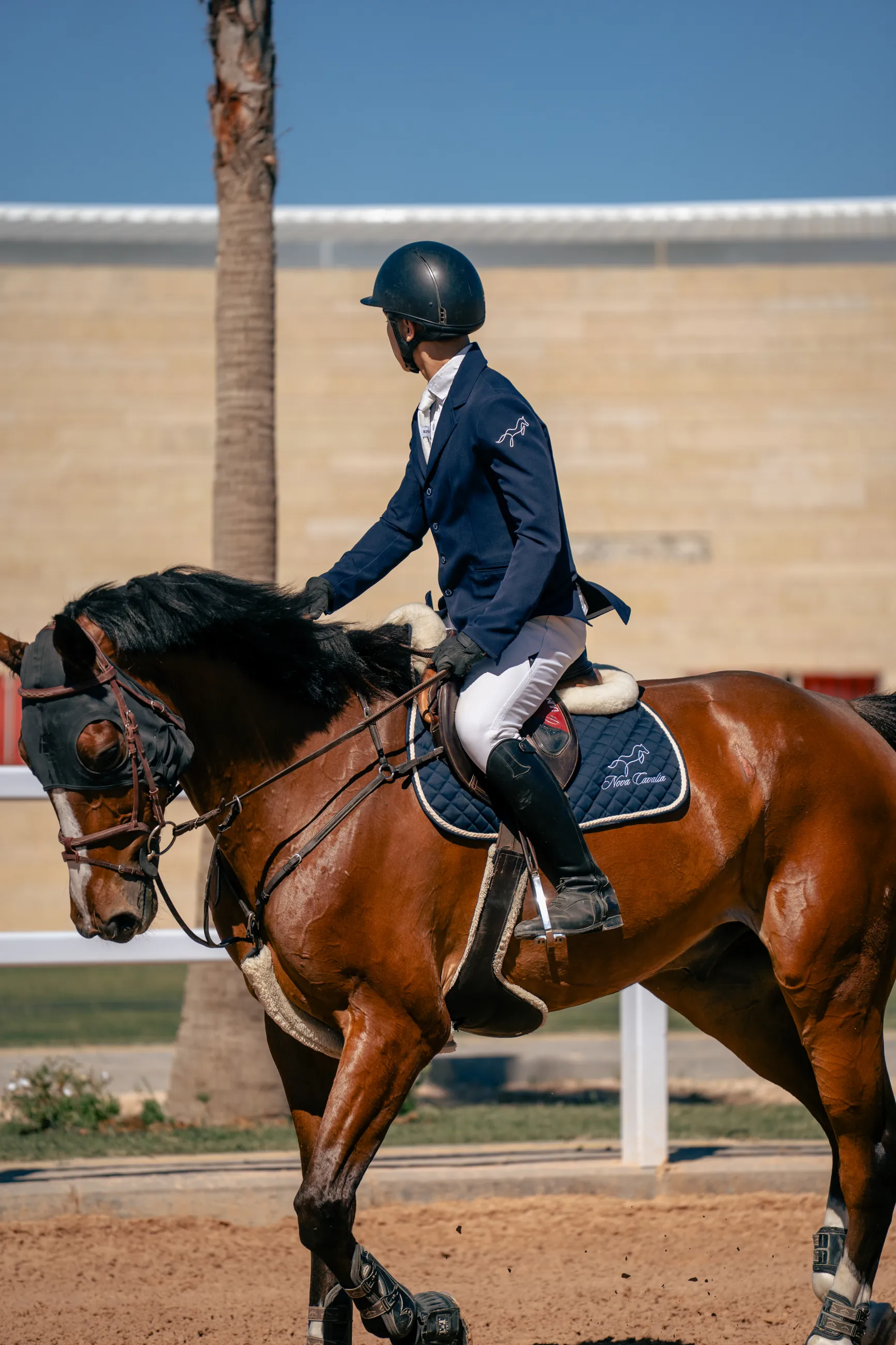 Cavalier en selle sur la carriere, palmiers en arriere-plan