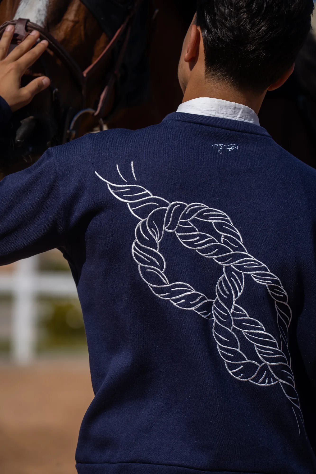 Dos du sweat, grande broderie cheval en corde