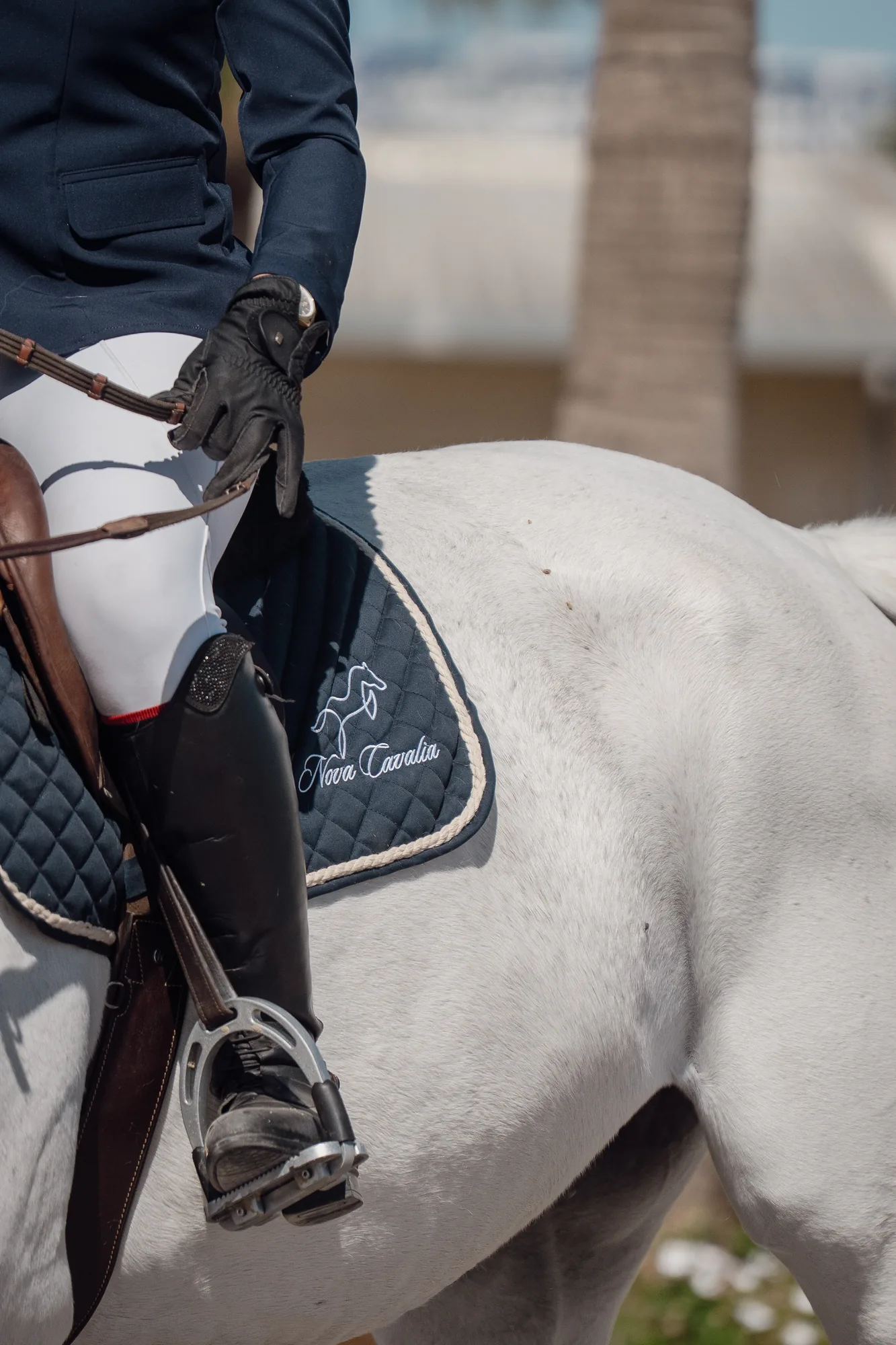 Tapis de selle en situation, cheval gris monte