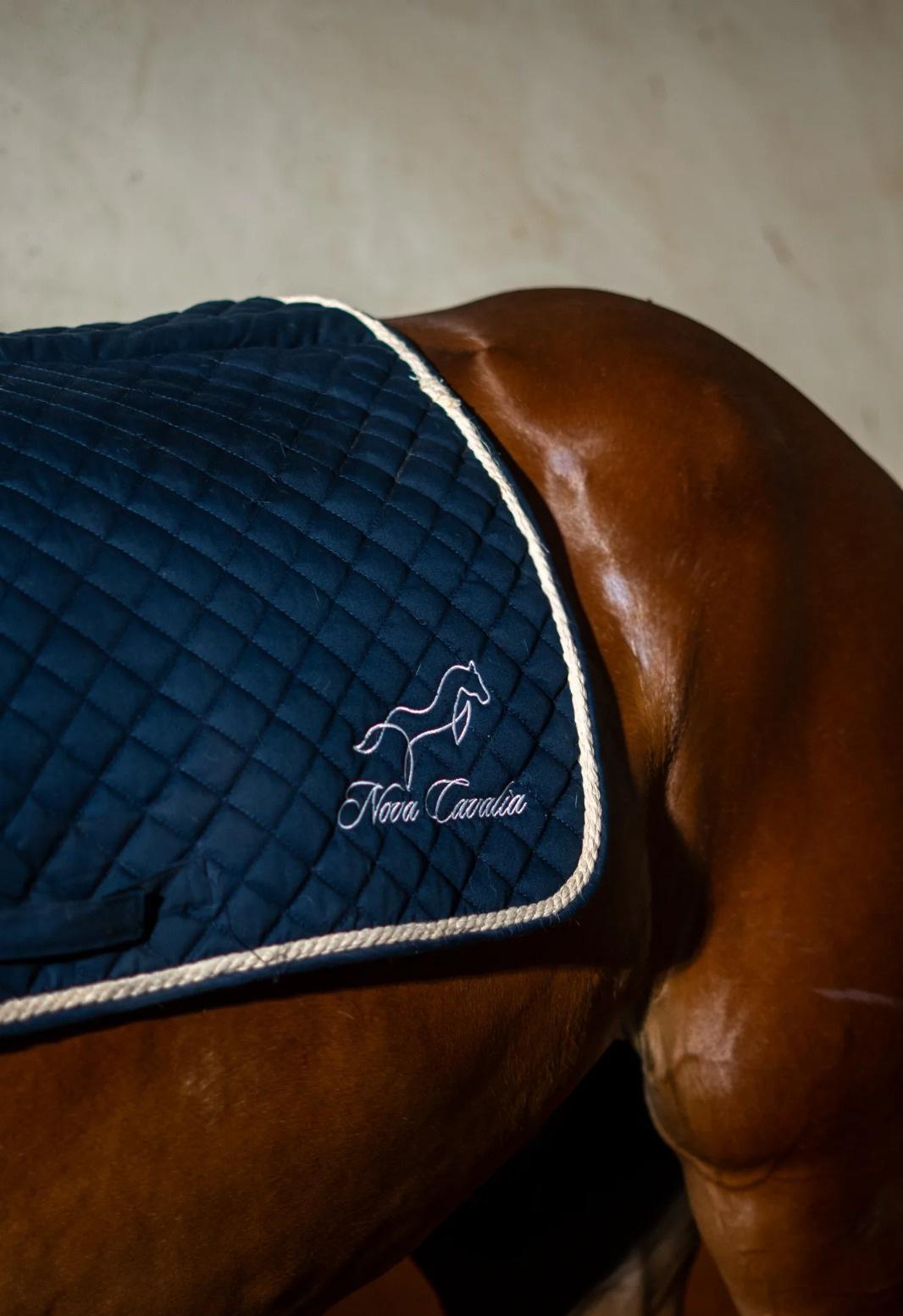 Tapis de selle marine porte par un cheval bai