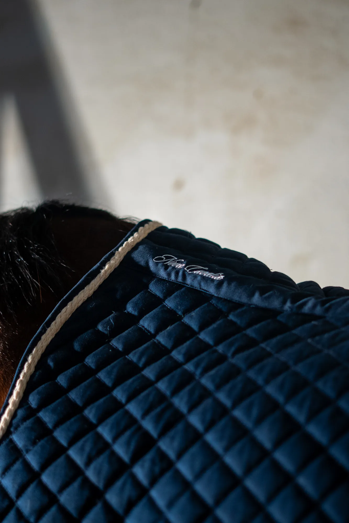 Cheval portant le tapis de selle marine Nova Cavalia