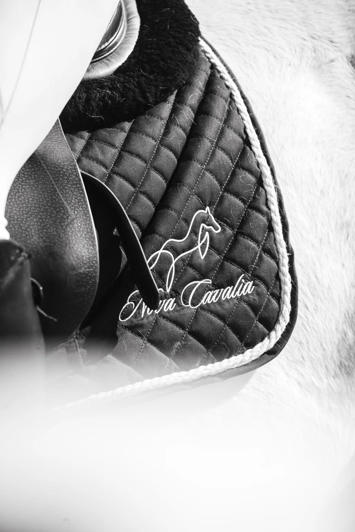 Tapis de selle et etrier, noir et blanc